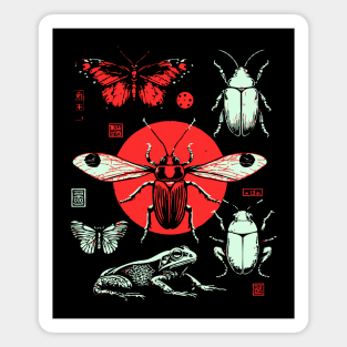 Ukiyo-e Insect Collection - Retro Japanese Entomology Art Magnet